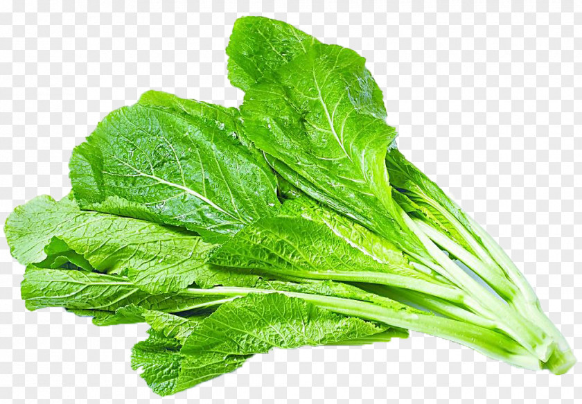 Brassica Vegetables Spinach Hong Kong Lettuce Bhurta Vegetable Salad PNG
