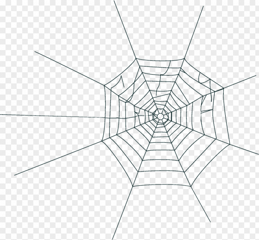 Diagram Blackandwhite Spider Web Halloween PNG