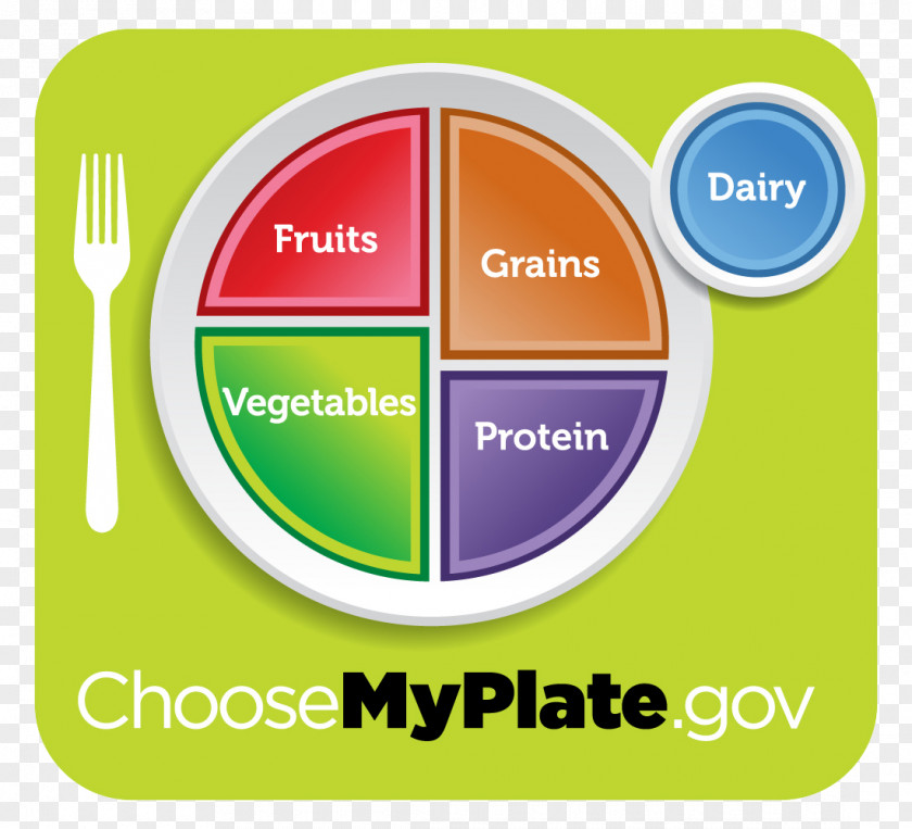 Fork MyPlate Nutrition Food Health Serving Size PNG