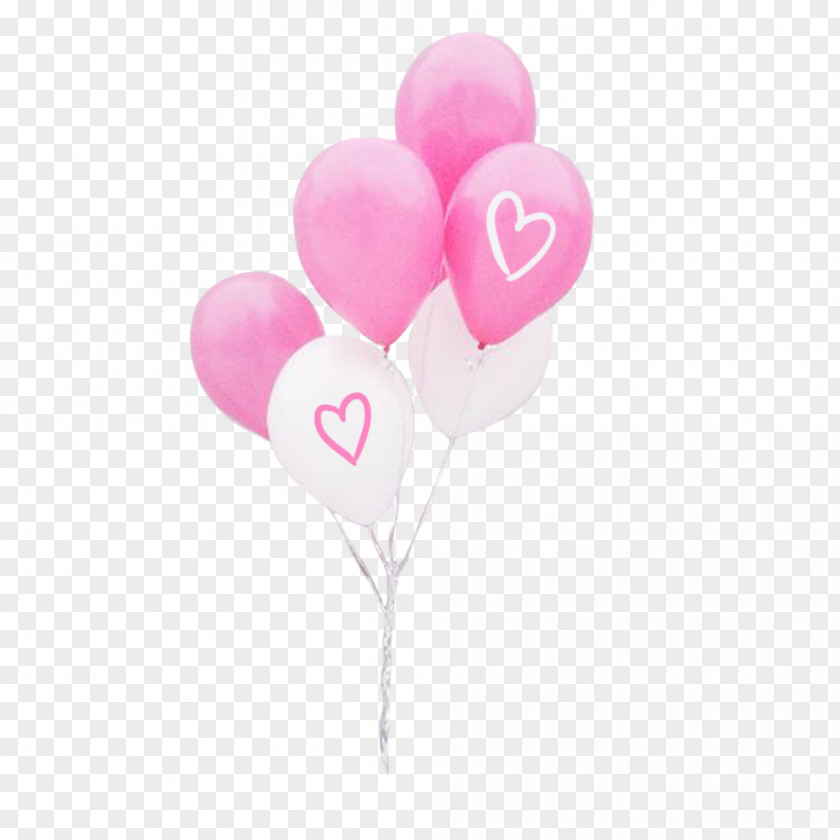 Party Supply Photography Pink Flower Cartoon PNG