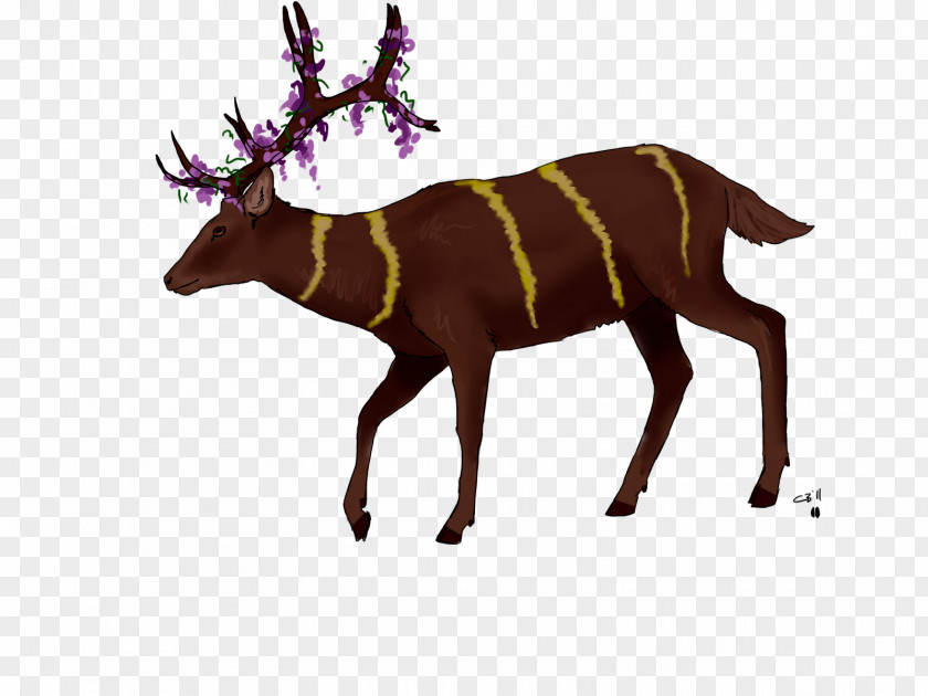Reindeer Elk Antler Terrestrial Animal Wildlife PNG