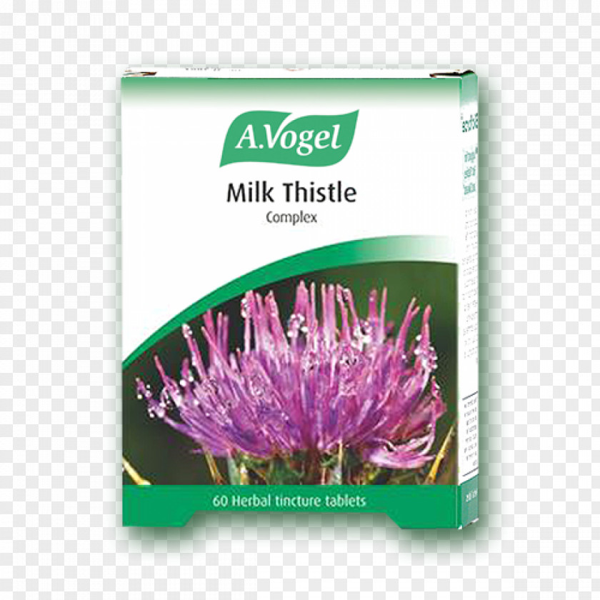 Tablet Dietary Supplement Milk Thistle Tincture PNG