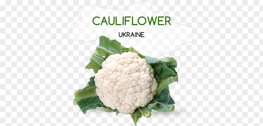 Cauliflower Broccoli Vegetable Capitata Group PNG