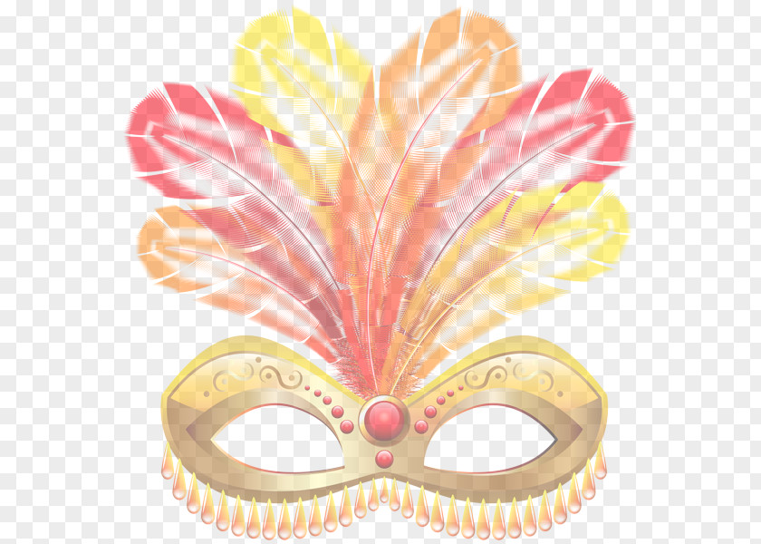 Costume Accessory Mardi Gras Feather PNG