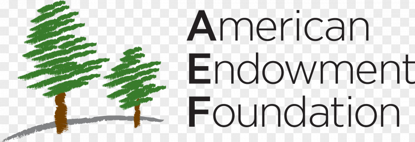 Logo The American Endowment Foundation Font Tree Brand PNG