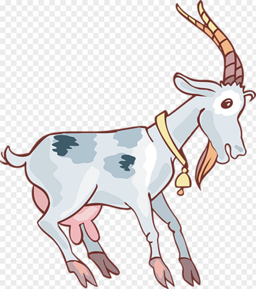 Sheep Ahuntz Drawing Goat Child PNG