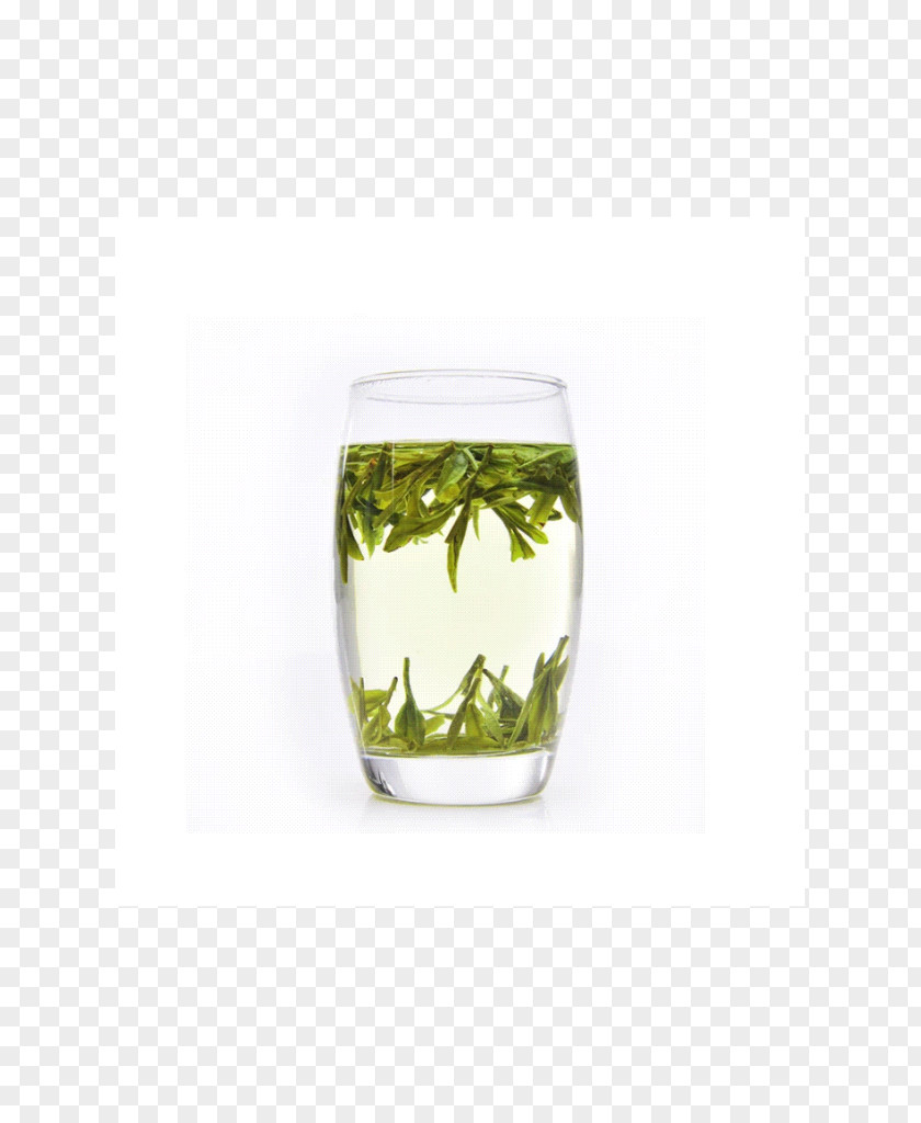 Tea Green Huangshan Maofeng Highball Glass PNG