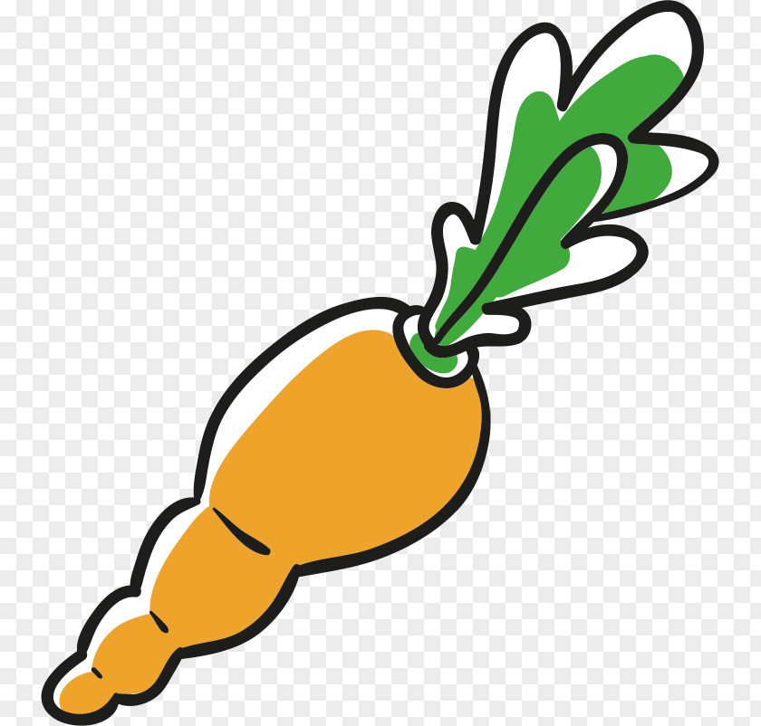 Carrot Creative Juice Fruit PNG