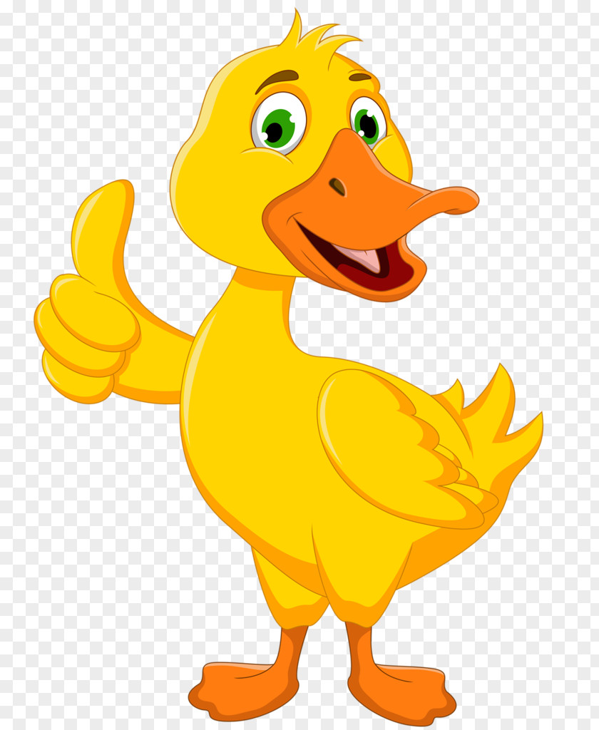 Duck Royalty-free Clip Art PNG