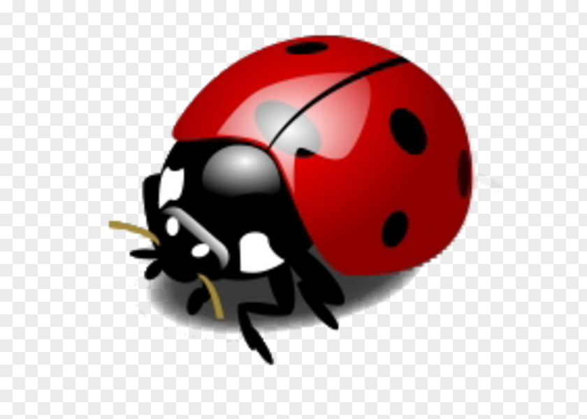 Ladybug Flying Cliparts Insect Ladybird Drawing Clip Art PNG