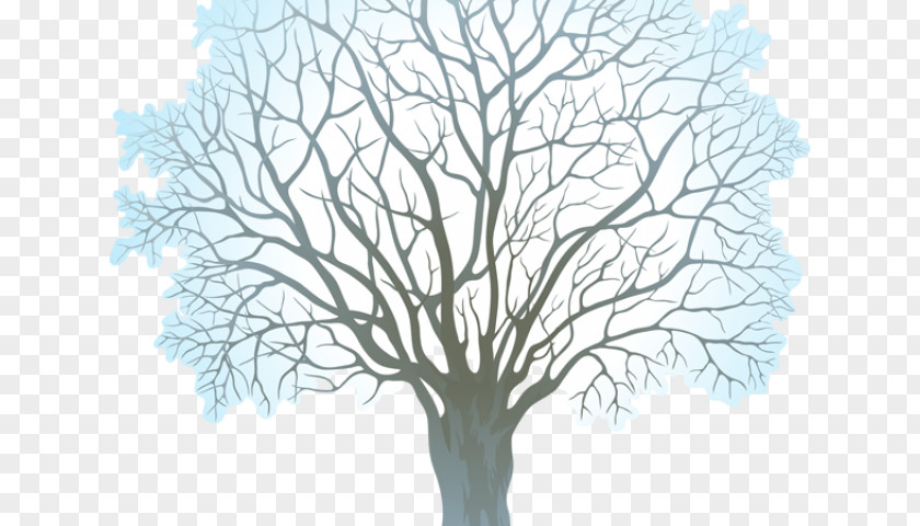 Norway Maple Elm Tree Clip Art Transparency Desktop Wallpaper Openclipart PNG