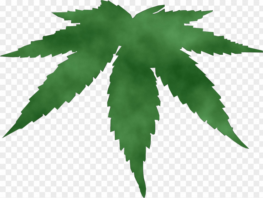 Palm Tree Hemp PNG