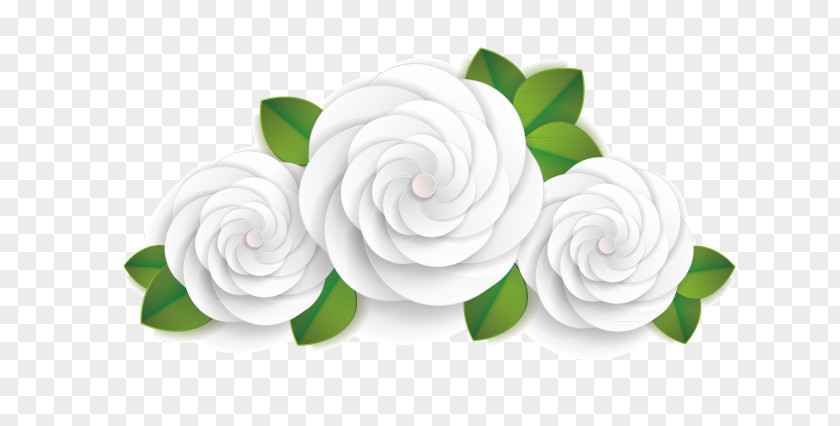 White Peony Download Euclidean Vector PNG