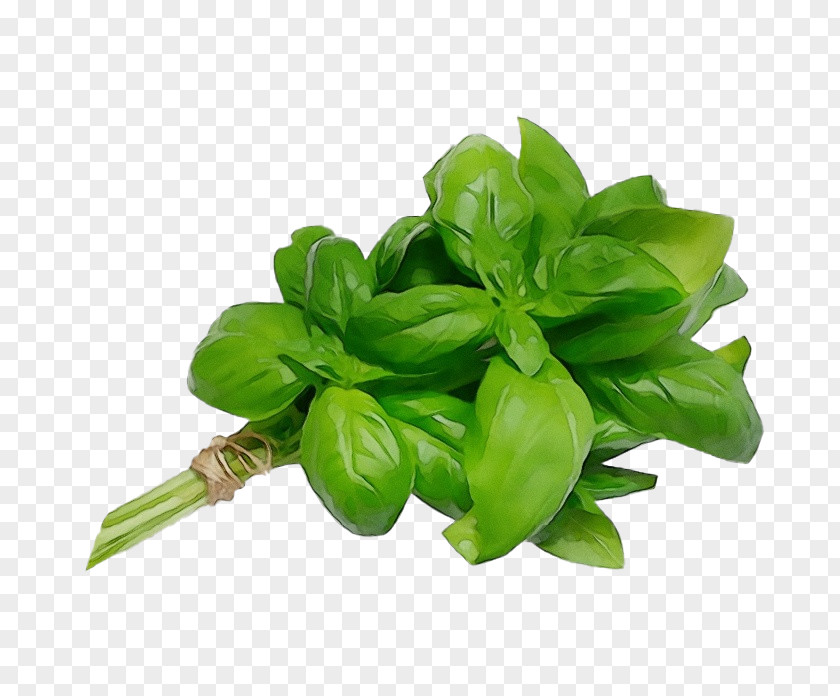 Basil Holy Mediterranean Cuisine Vegetable Aromatic Plant PNG
