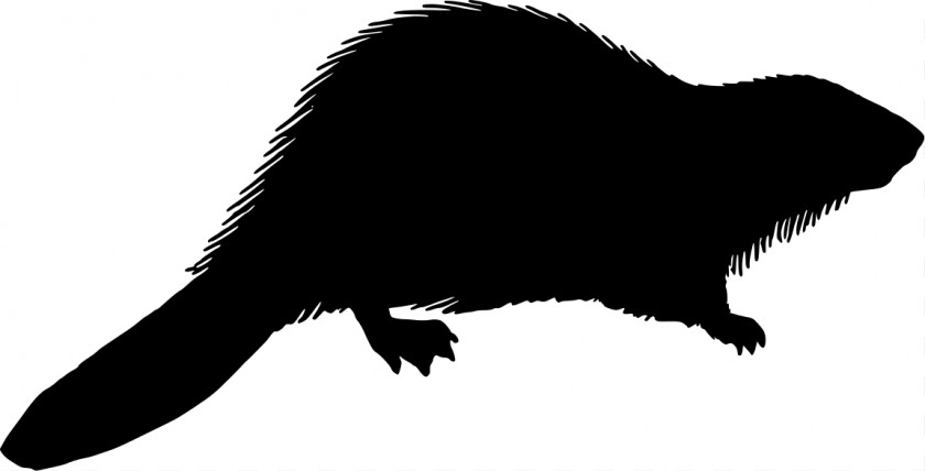 Coffin Vector Beaver Silhouette Royalty-free Clip Art PNG