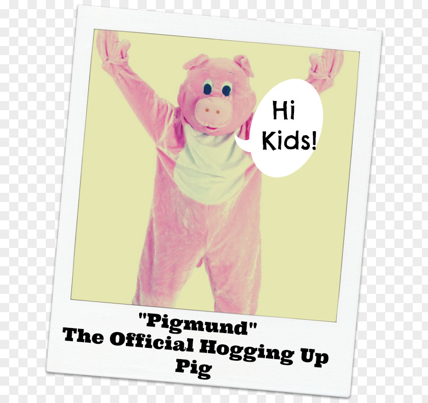 Pig Mammal Mascot United States Dress-up PNG