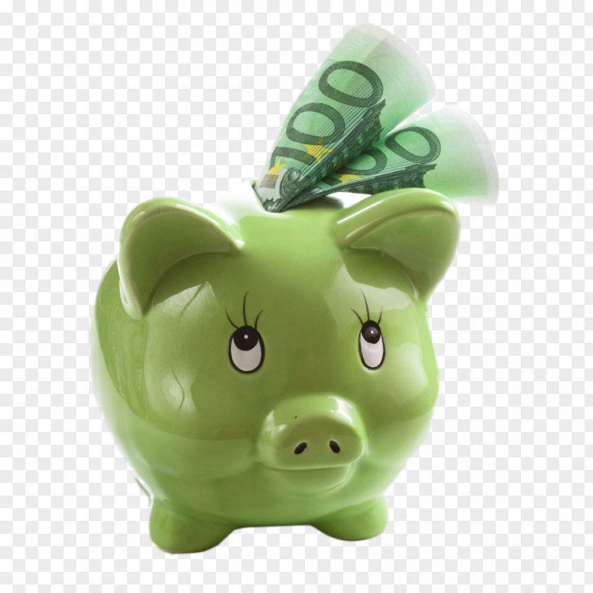 Pig Piggy Bank Money Euro Saving Stock Photography PNG