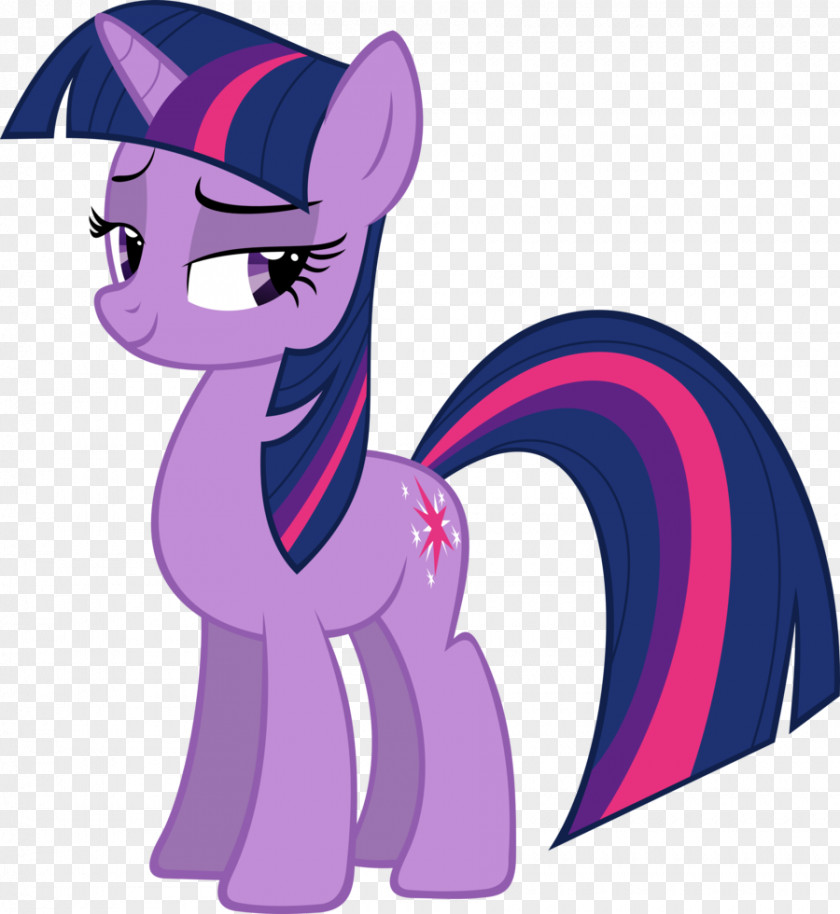 Spices Vector Twilight Sparkle My Little Pony: Friendship Is Magic Fandom Rainbow Dash Rarity PNG