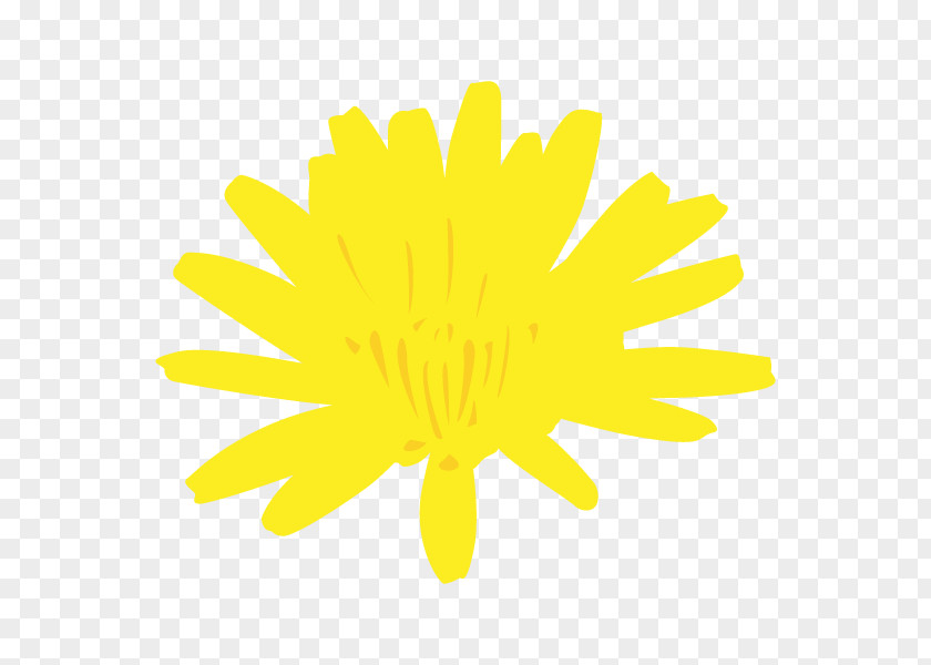 Chrysanthemum Sunflower Cut Flowers Line Dandelion PNG