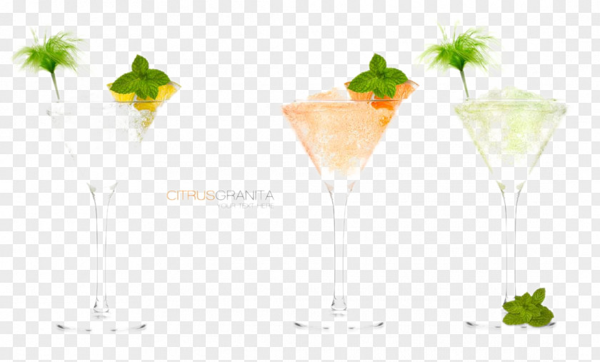 Color Cocktail Drink Garnish Martini Mojito Juice PNG