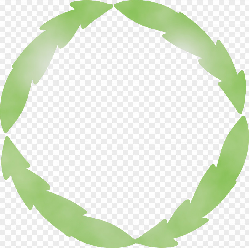 Green Leaf Plant Circle Oval PNG