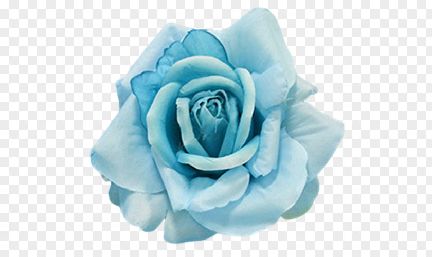 Mint Flowers Flower Garden Roses Blue Aqua PNG