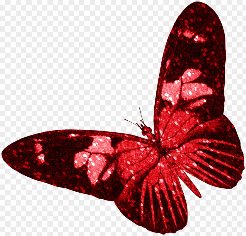 Red Butterfly Insect PNG