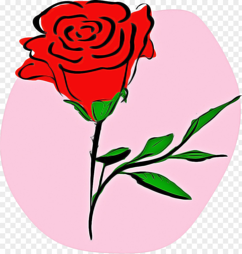 Rose Family Plant Garden Roses PNG