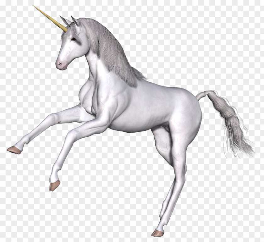 Unicorn Fairy Tale Scotland Legendary Creature PNG