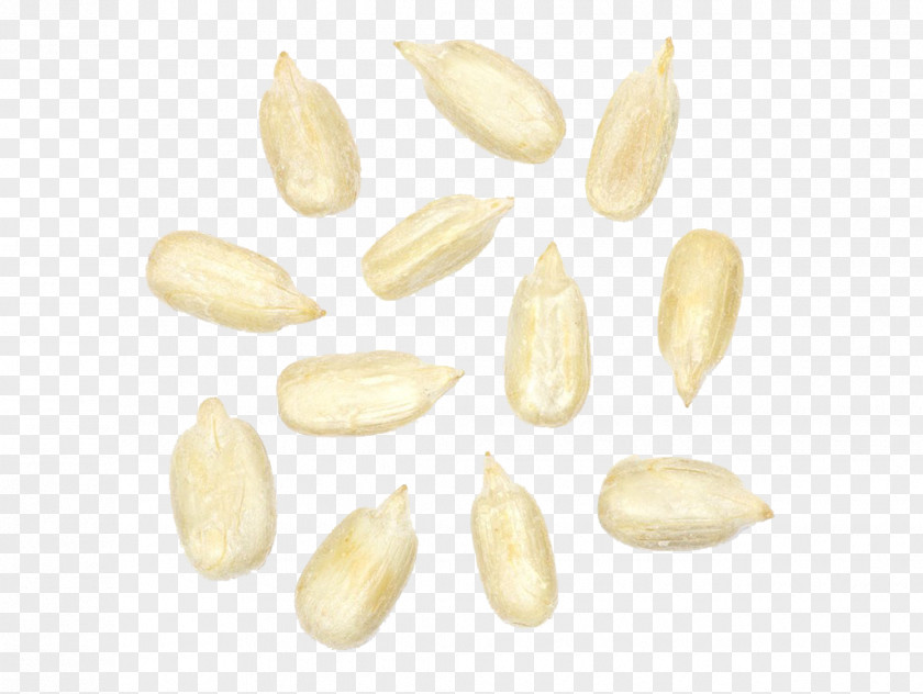 White Melon Seeds Commodity PNG