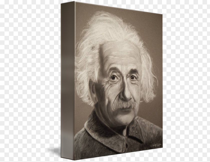 Albert Einstien Einstein Gallery Wrap Portrait Nose Canvas PNG