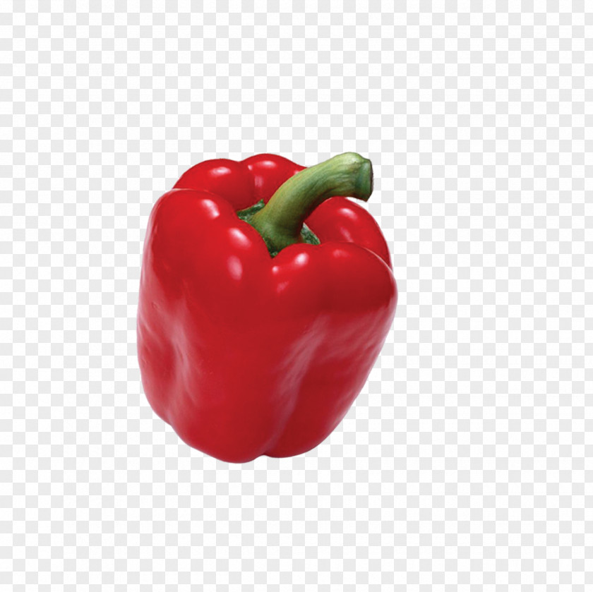 Bell Pepper Chili Red Cayenne Pimiento PNG