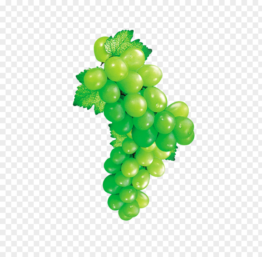 Grape Fruit Icon PNG