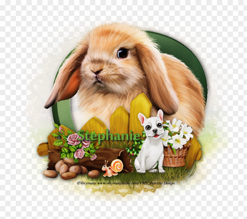 The Autumn Equinox Hare Domestic Rabbit Whiskers Animal PNG