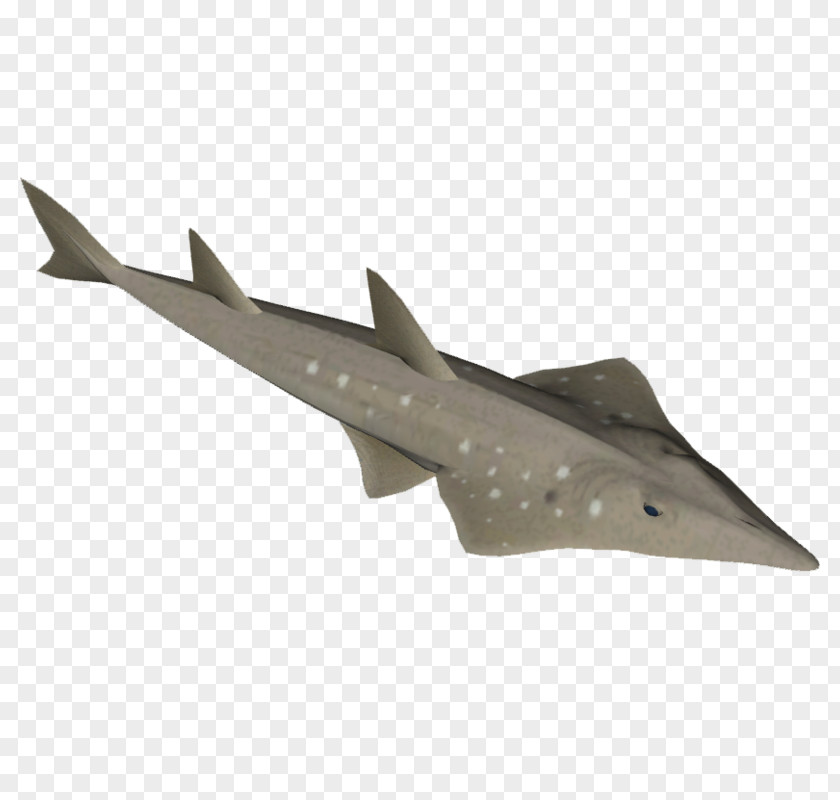Airplane Fighter Aircraft Jet Military Fish PNG