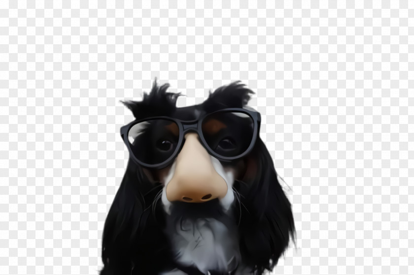 Companion Dog Sporting Group Glasses PNG