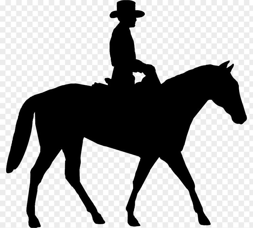 Horse Equestrian Bucking English Riding Clip Art PNG