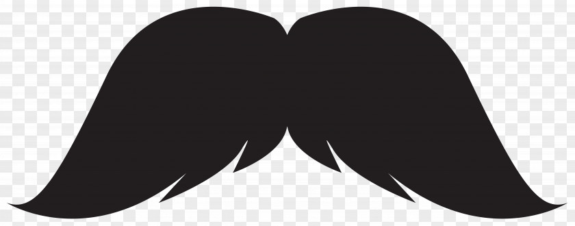 Pictures Moustache Hair Google AdWords Clip Art PNG