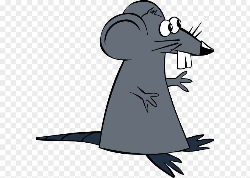 Rat Mouse Cheese Clip Art PNG