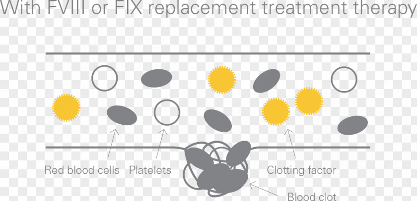 Blood Haemophilia A Coagulation Protein Factor VIII PNG