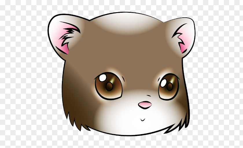 Cat Whiskers Bear Snout Dog PNG