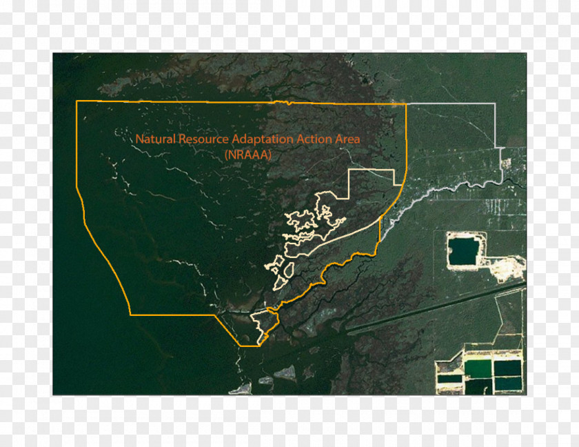 Environmental Law Map Tuberculosis PNG