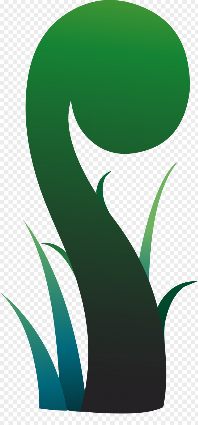 Fern Leaf Clip Art PNG