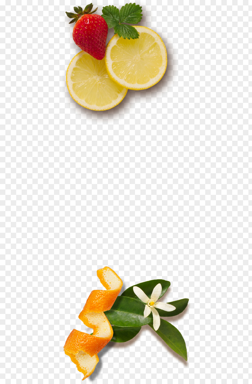 Fresh Salad Lemon Fruit Orange Juice Florida PNG