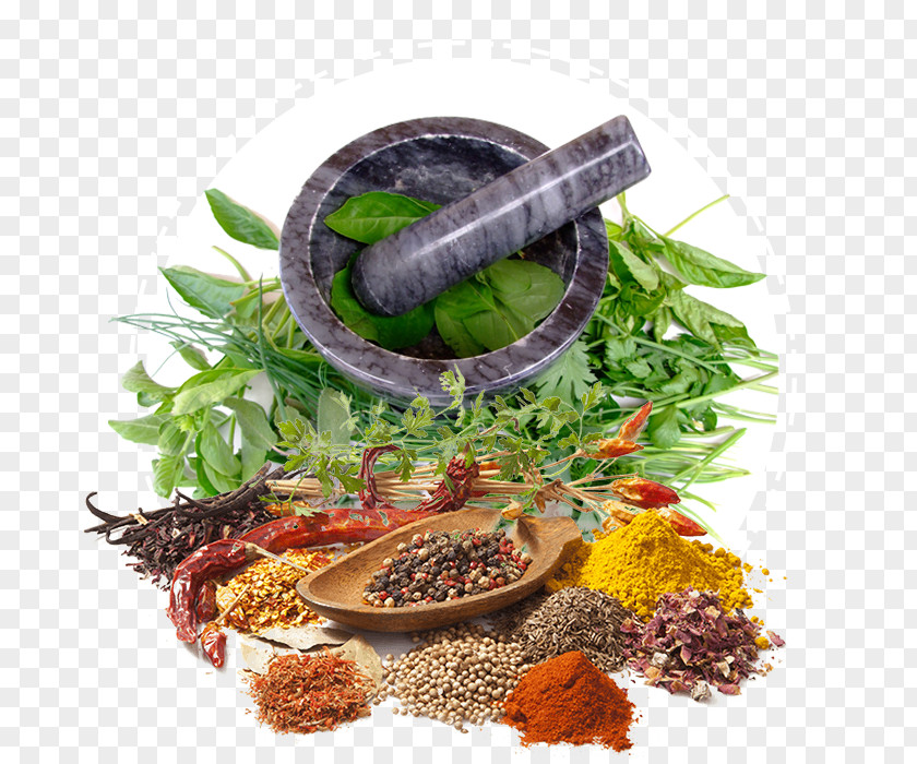 Herbal Medicine Herbalism Alternative Health Services Ayurveda PNG