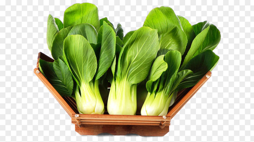 Herb Flower Vegetable Leaf Food Choy Sum Plant PNG