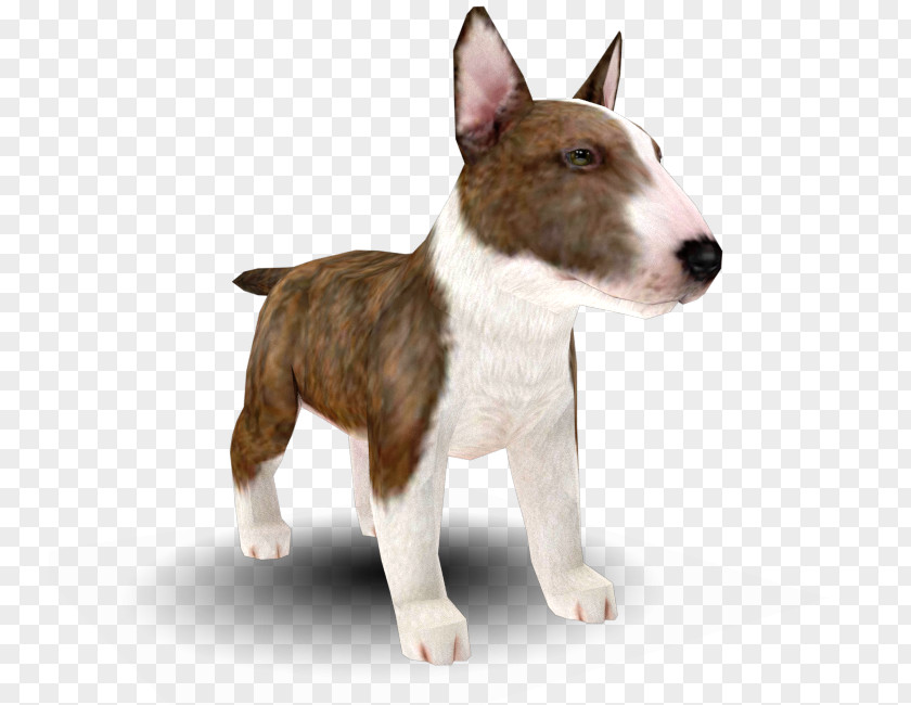 Miniature Bull Terrier And Old English Dog Breed PNG