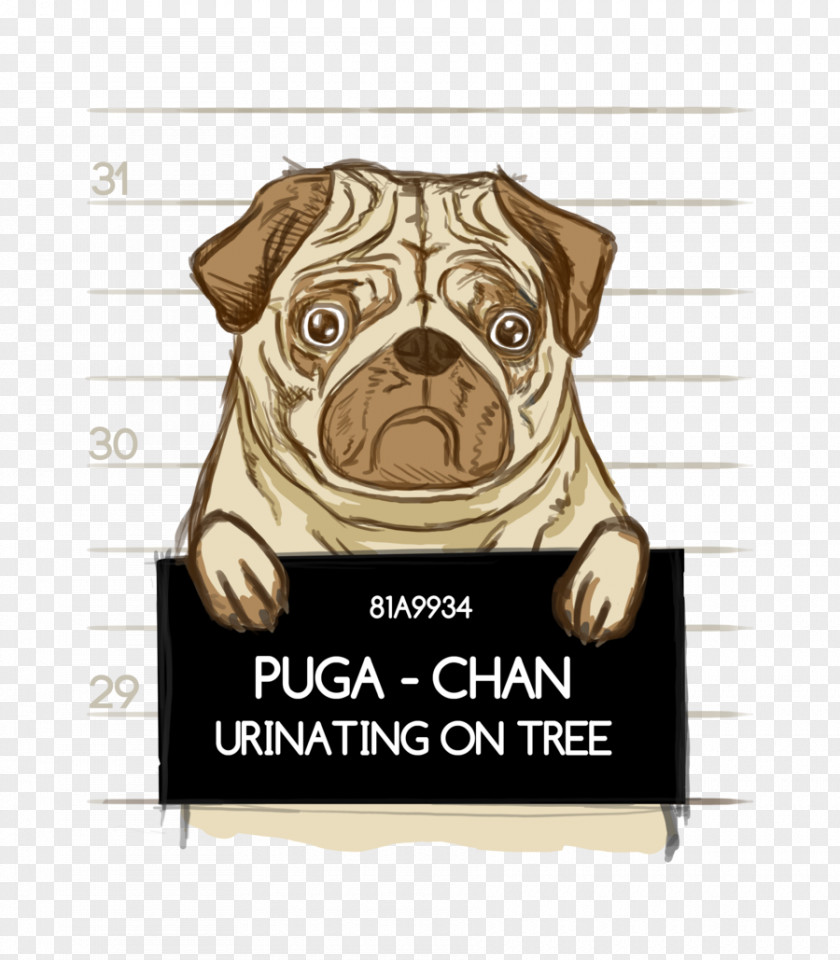 Pug Mug Dog Breed Puppy Toy T-shirt PNG