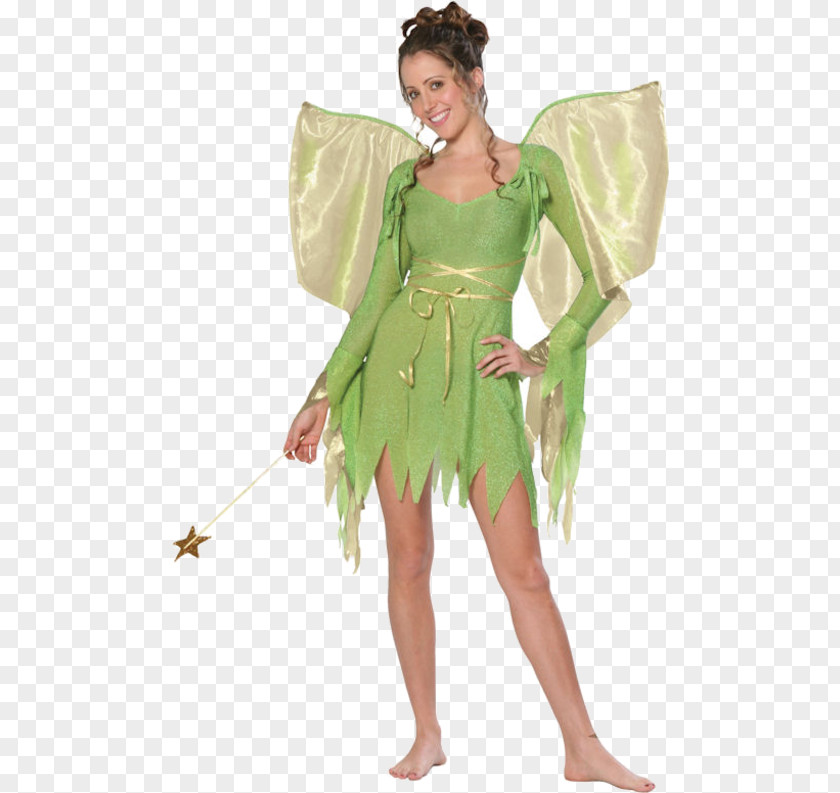 Resealable Tinker Bell Halloween Costume Fairy Adult PNG