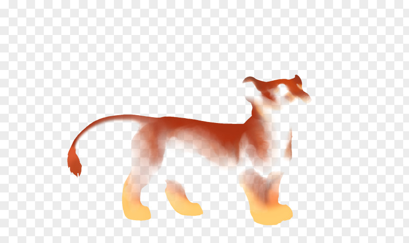 Drizzle Dog Cat Tail Puma Wildlife PNG